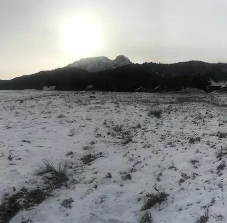 Appartamento Viva Maria Harmonia Zakopane Esterno foto